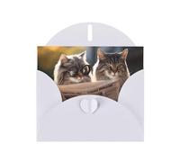 WZYWHJ White Holiday Greeting Card 6x4 in with Envelope for Christmas, Birthday, Valentine's Day, Party Invitation Dashing pair of cats Printed