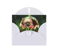 WZYWHJ White Holiday Greeting Card 6x4 in with Envelope for Christmas, Birthday, Valentine's Day, Party Invitation The puppy in the watermelon Printed