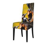 WZYWHJ Woodpecker Pecking at Tree Holes Printed Detachable Chair Cover Quick Installation and Easy Maintenance Suitable for Square Chair Backs