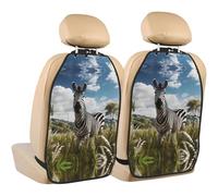 WZYWHJ Zebra on The Grassland Printed Car seat Anti Kick Storage pad 2 Pieces, Multi-Functional Storage Bag seat Protector After Installation