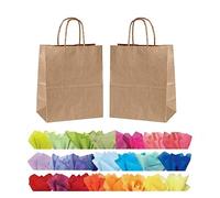 x 10 LUXURY PAPER GIFT BAGS WITH MATCHING TISSUE PAPER - CHRISTMAS/BIRTHDAY/PARTY BAG - (Tan)