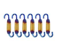 X AUTOHAUX 6 Pcs 58mm 2.28" Motorcycle Muffler Exhaust Pipe Spring Gold Tone