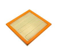 X AUTOHAUX Car Engine Air Filter No.7C3Z-9601-A/LC9Z-9601-A for Ford F-150 3.5 5.0 2011-2025 for Ford F-250 F-350 Super Duty 6.2 Flex 2011-2016