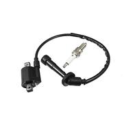X AUTOHAUX Ignition Kit, Spark Plug & Coil for Kawasaki KFX400, Suzuki DRZ400S, Yamaha Rhino 660, Grizzly 660R, Vinson 500 ATV