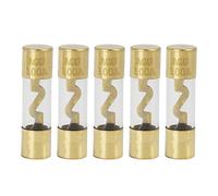 X AUTOHAUX Plastic Tube Fuse 100A Gold Tone Plated AGU Fuses for Car Auto 5 Pcs