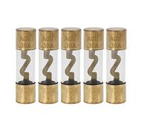 X AUTOHAUX Plastic Tube Fuse 30A Gold Tone Plated AGU Fuses for Car Auto 5 Pcs