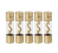 X AUTOHAUX Plastic Tube Fuse 60A Gold Tone Plated AGU Fuses for Car Auto 5 Pcs