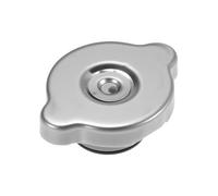 X AUTOHAUX Radiator Cap Replacement for Ford F-150 2012-2014 Steel 137kpa Coolant Reservoir Radiator Cap Assembly Replace 214308991A/214308997A 1 Pcs