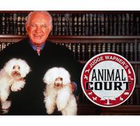 X Dognaps POW's Pooch, Screaming Parrot