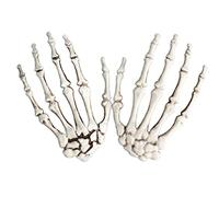 X-Institute 1 Pair Halloween Skeleton Hands Hand Skeleton Model For Halloween Decoration Terror Scary Props For Adults Kids