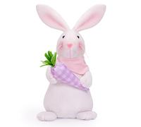 X-Institute 1PC EasterBunny Gnomes with Carrot/Eggs Easter Plush Doll for Kids Easter Day Gift Desktop Home Decor EasterBunny