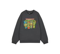 (X-Large) Teenage Mutant Ninja Turtles Sweatshirt (Mens Grey)