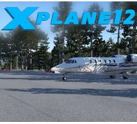X-Plane 12 Steam Altergift