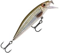 Rapala X-Rap Countdown Lure 5cm 4g - ROL Live Roach