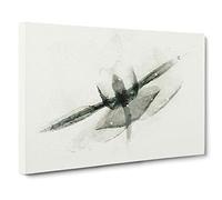 X-Ray of an Orchid Flower Canvas Print | Gallery Wrapped 30mm Frame Wall Art | 30x20 inches | Ready to Hang | Abstract Floral Picture | Living Room Bedroom Lounge Office
