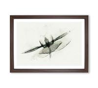 X-Ray of an Orchid Flower in Abstract Framed Print | A2 Walnut Framed Wall Art | Ready to Hang | Abstract Floral Picture | Living Room Bedroom Lounge Office