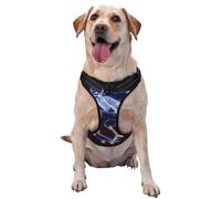 X-Ray Skeleton On A Skateboard No Pull Dog Harness Adjustable Reflective Oxford Easy Control Medium Large Dog Harness