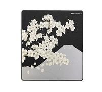 X-Raypad Aqua Control 2 Sakura Gaming Mouse Pad, Ultra-High Precision Mouse Pad with Perfect Speed and Control Capability, Consistent X and Y Glide, Designed for Fps Players with Low DPI Requirements