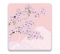 X-Raypad Aqua Control 2 Sakura Gaming Mouse Pad, Ultra-High Precision Mouse Pad with Perfect Speed and Control Capability, Consistent X and Y Glide, Designed for Fps Players with Low DPI Requirements