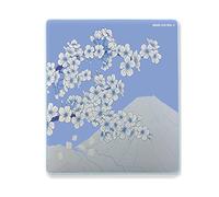 X-Raypad Aqua Control 2 Sakura Gaming Mouse Pad, Ultra-High Precision Mouse Pad with Perfect Speed and Control Capability, Consistent X and Y Glide, Designed for Fps Players with Low DPI Requirements