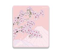 X-Raypad Aqua Control 2 Sakura Gaming Mouse Pad, Ultra-High Precision Mouse Pad with Perfect Speed and Control Capability, Consistent X and Y Glide, Designed for Fps Players with Low DPI Requirements