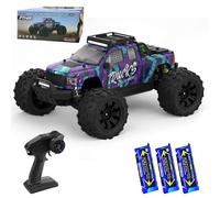X-Verse 1:14 100 km/h Remote Controlled Car, 4WD Waterproof RC Cars with 3S Brushless Motor, 2.4GHz All Terrain Offroad RC Truck Truggy for Adults, 3 Batteries (Purple)