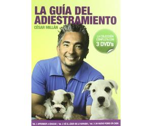 X Y & ZEE REAL. BRIAN G. HUTTON. 1971. AVEC: ELIZABETH TAYLOR MICHAEL CAINE SUSANNAH YORK