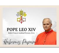 X1 Postcard Pope Leo XIV Robert Francis Prevost vatican memorial on paper 350gsm Carte postale mini poster 10,2 x 15,2 cm postcard or mini poster 4x6 inch size
