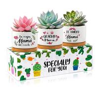 X1zuue Gifts for Mom - 3Pcs Gracias mamá Succulent Planter Pots Best Mom Ever Mini Ceramic Plant Pots with Bamboo Tray for Mother-in-Law Wife Home Office Decor Birthday Gardening Gift, Plants Excluded