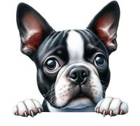 x4 Boston Terrier Door Vinyl Stickers, Weatherproof, Cover up Marks, Hardwearing & Vibrant, Multi-purpouse Ideal for Door, Phone case, Cups, Wine Glass, Toilet, car & All Projects. (Boston Terrier)