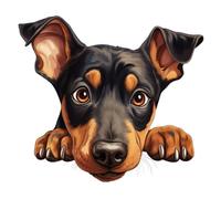 x4 Doberman Dog Stickers for Wall Decor, Covering Marks, Hardwearing Waterproof Mugs & Phone, Car Bumpers, Shower & Tile, Toilets, Laptop & More Vinyl Decals, (Doberman Pinscher)