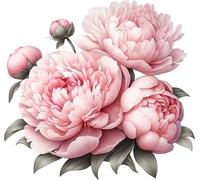 x4 Pale Pink Peony Flower Vinyl Stickers, Vibrant Waterproof Floral Decals, Multi Purpose 1@ 20cm Tall Ideal for Toilets car or Laptop. 3@ 7cm Tall Ideal for Phone, Cups & Mugs (Pink Pale)