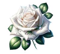 x4 Single White Rose Vinyl Stickers Cover Marks, Waterproof Flower Art Decals 1@20cm Tall Ideal for Wall, Toilet, Laptop or car Bumper. 3@7cm Tall Ideal Phone, Cup & Tile Floral Decal (zf4- White 1)