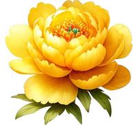 x4 Yellow Peony Flower Vinyl Stickers, Vibrant Blackout Waterproof Decals, Multi Purpose 1@ 20cm Tall Ideal for Toilets car or Laptop. 3@ 7cm Tall Ideal for Phone, Cups & Mugs (Yellow Single)