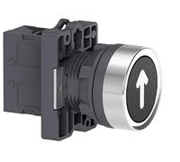 XA2EA3351 Marked Head Push Button Flush Spring | Marked head push button, 22 mm, flush spring, 1NO contact, limit switch