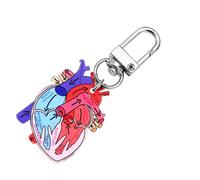 XAGMODSHN Anatomical Heart Keychain Pendant Educational Keyrings Accessory for Physical Students and Healthcare Professionals Microscopic Life Keychain