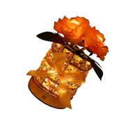 XAGMODSHN Permanent Rose Lamp with Glass Base and Soft Lighting Perfectly Touch Control Table Bedlight Cordless Light Rose Night