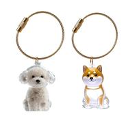 XAGMODSHN Pet Hair Collector Keepsakes Keychain Box For Dog Cats And Small Animals Furs Storage Container With Easy To Open Design Clear Dog Furs Keepsakes Storage Box