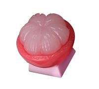 XAGMODSHN Vibranted Fruit Themed Resin Keycaps For Mechanical Keyboards Unique Design Realistic Durian Avocado Shape Optional Ergonomic Fruit Keycaps For Office Keyboards