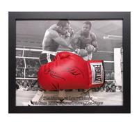 Xample Larry Holmes & Ken Norton Signed Framed Everlast Boxing Glove, Autographed Memorabilia