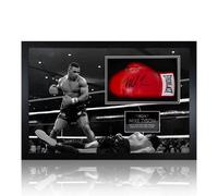 Xample Mike Tyson Signed Framed Boxing Glove, Full Size Autographed Glove With Wood Frame