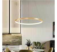 XANAYXWJ LED Pendant Light, Dimmable Pendant Light Ring Circle Hanging Lamp Dining Table Pendant Lamp Aluminum Chandelier,Chandeliers