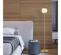 XANAYXWJ Nordic Minimalist Floor Lamp Planet Glass Shade Standing Lamps Interior Decorative Vertical Lamp Living Room Reading Tall Lamps Polished Metal Standing Floor Lights Eye-Caring Floor Pole