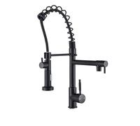 XANAYXWJ Solid Brass Spring Pull Out Kitchen Faucet with Two Spouts andHandheld Shower Chrome Finish Mixer TapChrome Smooth knob,Black Color D