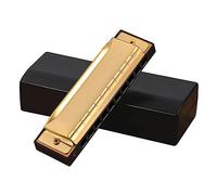 XANHOY for Key C Blue Harmonica, 10 Holes 20 Tones, Blue Harp, Mouth Organ, Harmonica for Adults, Beginners,Students