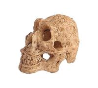 Xanorrg Miniature Skull Bonsais Landscape For Fish Tank Aquarium Decor Miniature Landscape Beautifying Tools Fish Tank Landscaping Decoration
