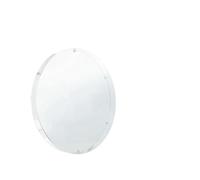 XAoSCd 65CM 3D Holographic Projector Acrylic Cover For Advertising Lights Imaging Logo Light Display Holo Fan for Exhibitions, Shopping Malls, Cinemas, Airports,