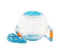 Xawaoa Large Hamster Ball Clear Portable Large Silent Running Toys