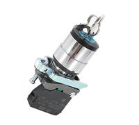 XB4-BG33 Selector Switch with Key and Knob, 22mm Mounting, 10A 440V, Two Normally Open Contacts for Industrial Control(2Gear,2NO)