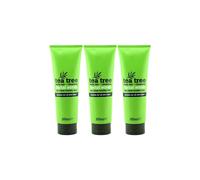 XBC Tea Tree Facial Scrub, 250 ml (Pack of 3)
